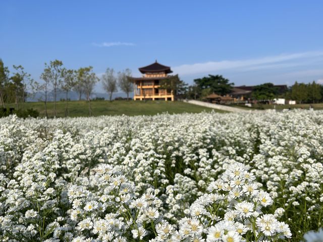 Hinoki Land 