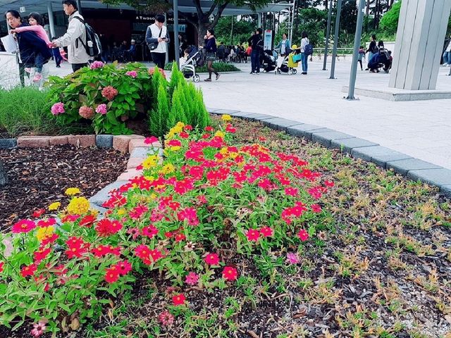 서울 가볼만한 곳, 국립중앙박물관