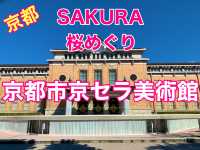 京都　SAKURA 桜めぐり❗️京都市京セラ美術館と桜、平安神宮大鳥居とのコラボに感動❗️