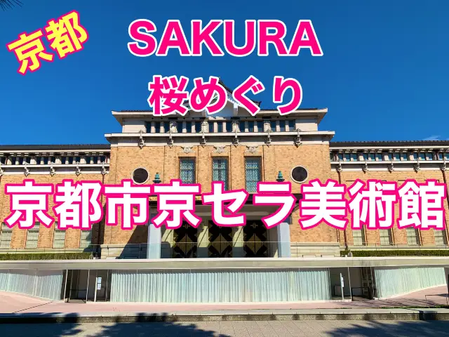 京都　SAKURA 桜めぐり❗️京都市京セラ美術館と桜、平安神宮大鳥居とのコラボに感動❗️