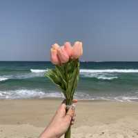 따뜻한 봄에 적격인 봄바다피크닉🏖🥐🥖☕️✨