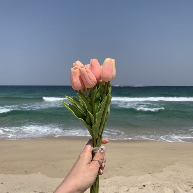 따뜻한 봄에 적격인 봄바다피크닉🏖🥐🥖☕️✨