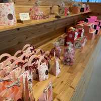 VISONにあるオシャレなケーキ屋さん🍰
