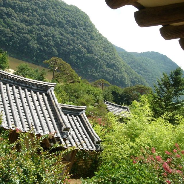 안동 봄여행 병산서원