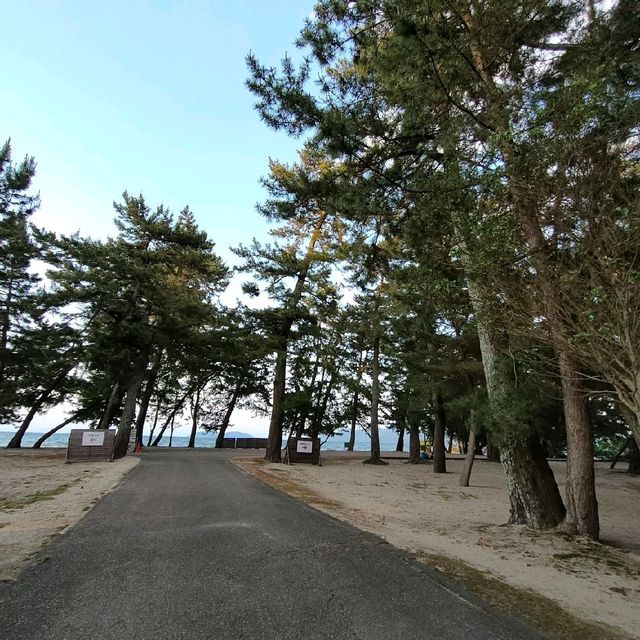 【滋賀県 野洲市】琵琶湖✨びわこマイアミランドの施設紹介🌟