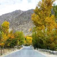 Autumn In Kargil, India