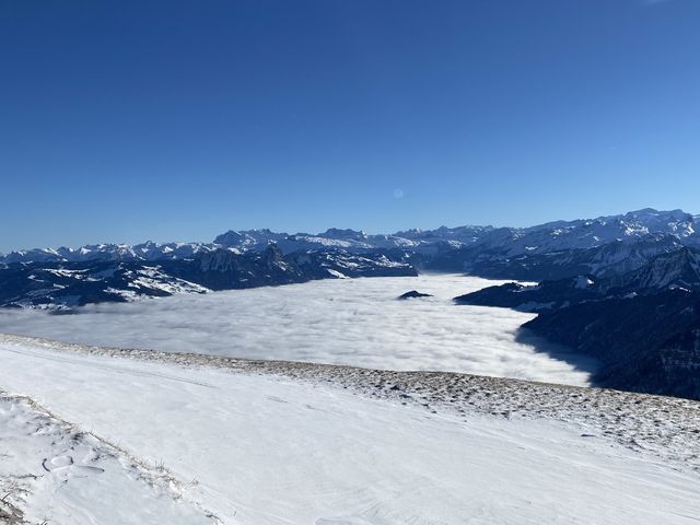 스위스 리기산에서 눈썰매 타기 🇨🇭