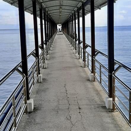 Penang National Park