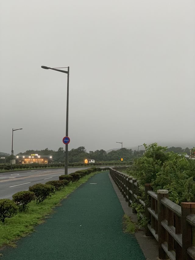 뚜벅이의 제주도 여행 🌴