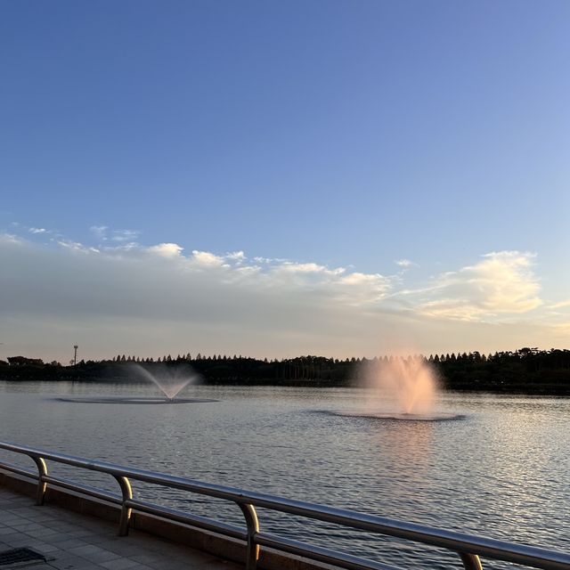 韓国【高陽市】ソウルのお隣り！湖やお花溢れる大きな韓国の公園