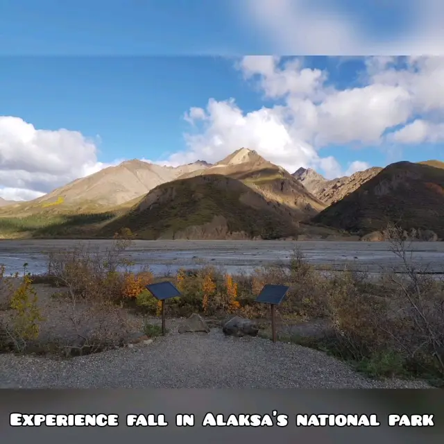 Falling for Denali National Park