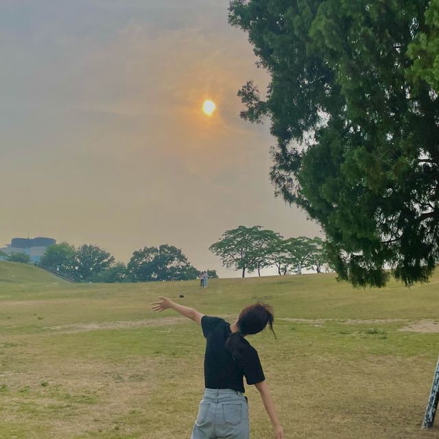 올림픽공원 “나홀로나무” 🌳