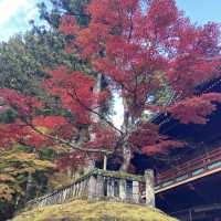 【日光】紅葉の綺麗な日光輪王寺大護摩堂
