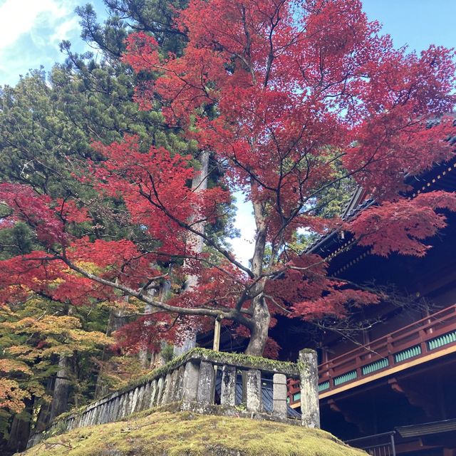 【日光】紅葉の綺麗な日光輪王寺大護摩堂