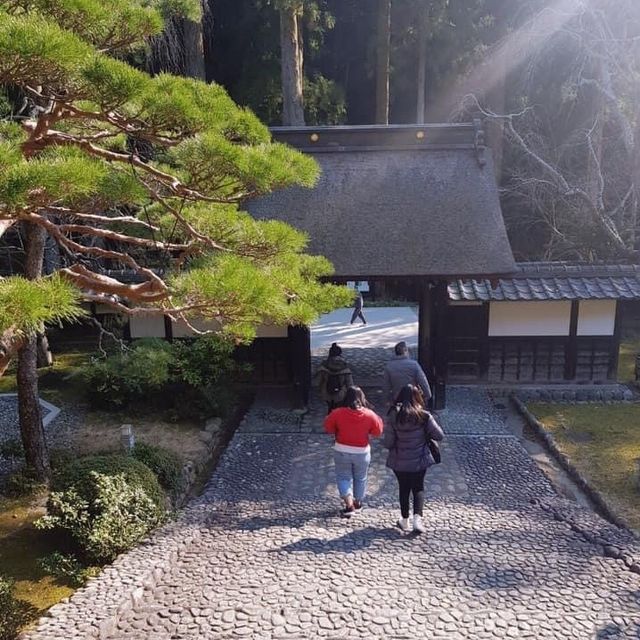 Hattasan Son-ei-ji Temple⛩