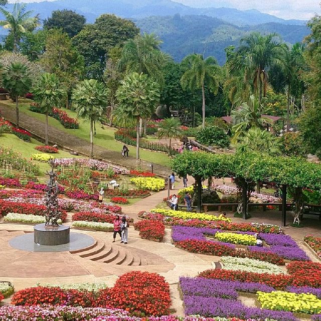 สวนแม่ฟ้าหลวง​ ดอยตุง