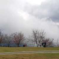 Bond with Nature in Qingjing Farm