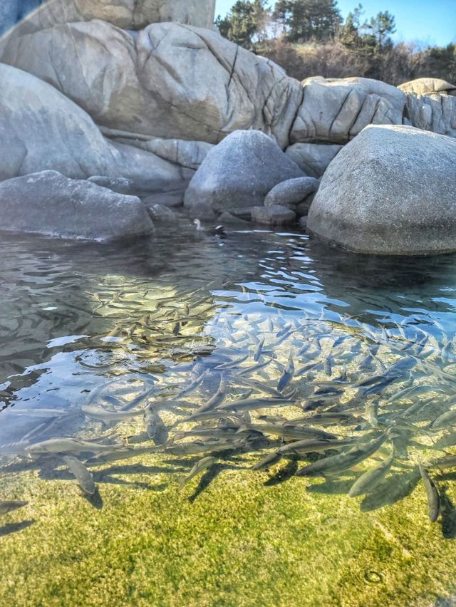 휴식이 필요할때 쉬어가는 곳, 양양 휴휴암🐟