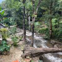 Taryn Tara cafe & stay แม่ออน เชียงใหม่