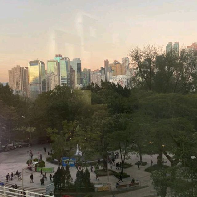 維多利亞公園旁，享用著名咖哩飯晚餐！