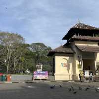 Kandy Tooth relic Temple