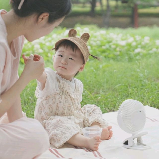 안산 가볼만한곳 * 피크닉하기 좋은 화랑유원지