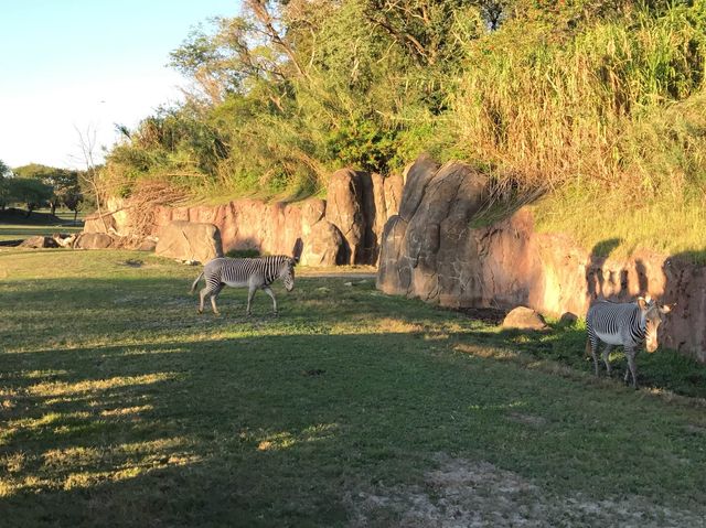 Celebrating name’s day at Tampa BushGarden 