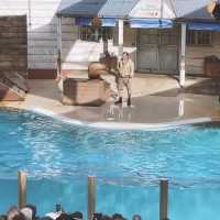 Taronga Zoo Sydney