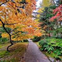 Washington Park arboretum 