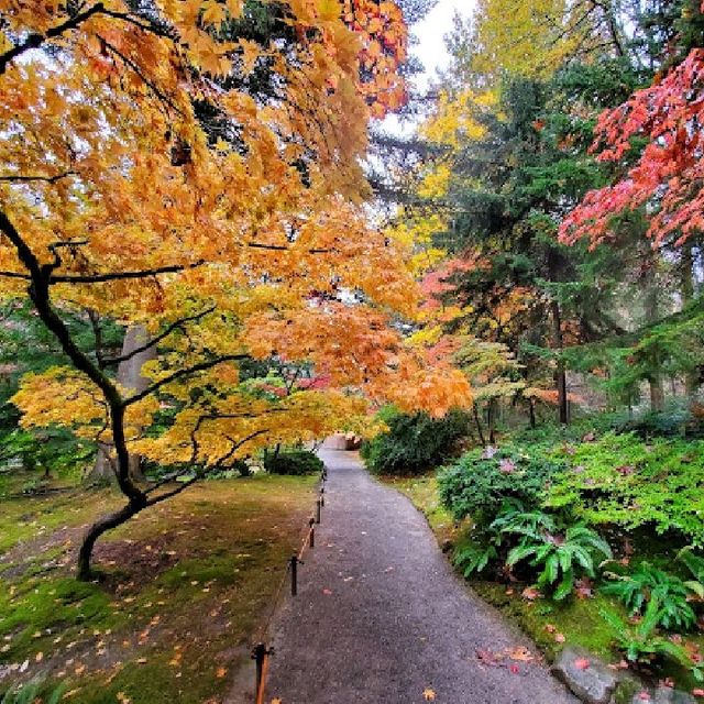 Washington Park arboretum 