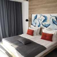 Hotel Saint Hildegard - 蓋在山坡上的酒店