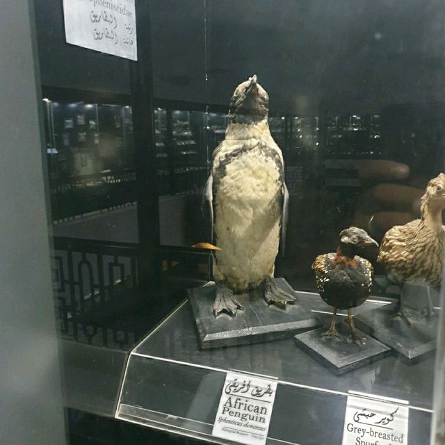 Wow The animal museum