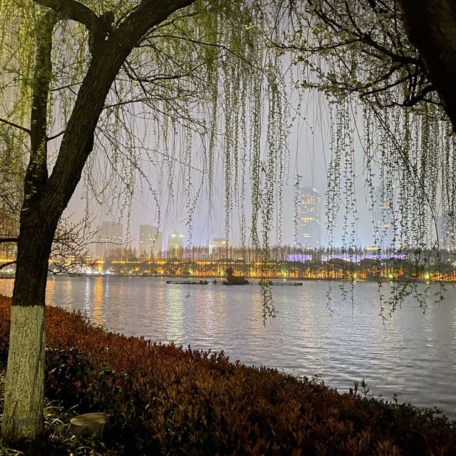 Xuanwu Lake @ Night