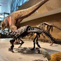 Shanghai Natural History Museum