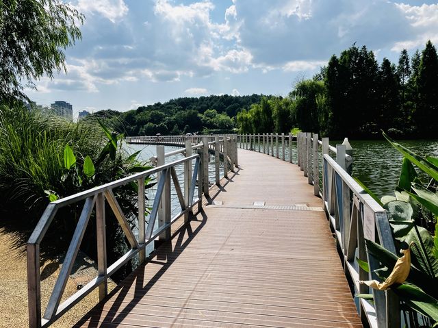 State of the art architecture at Yueshan park