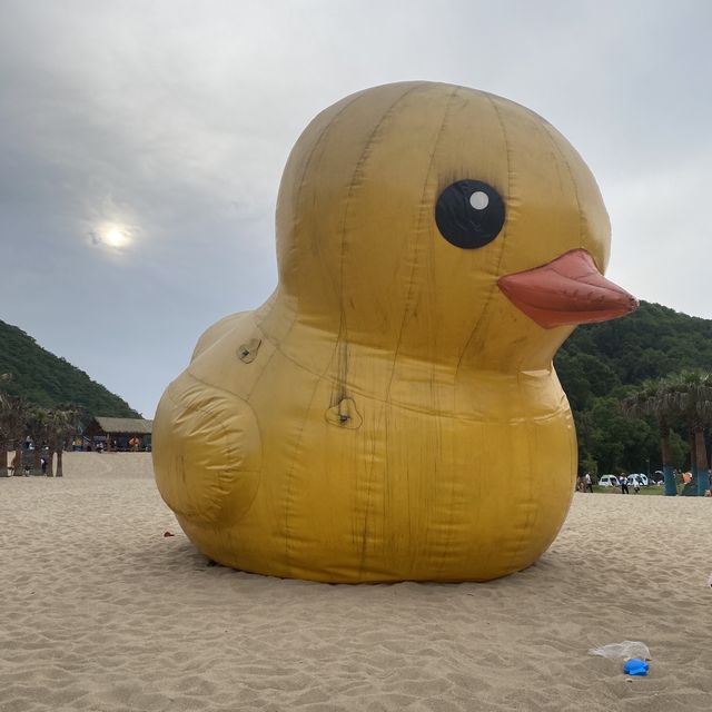 DID YOU KNOW HANGZHOU HAS THIS BEACH🏝 ⁉️