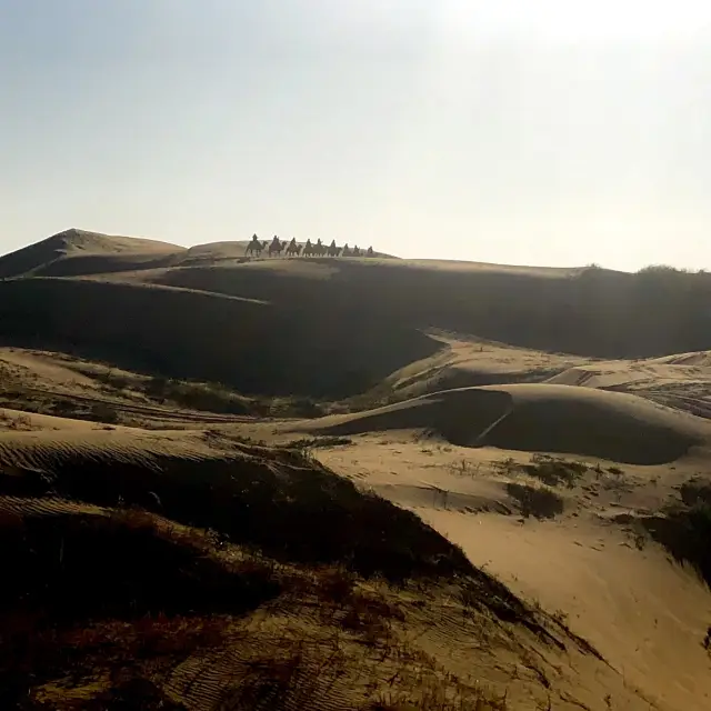 Kubuqi desert