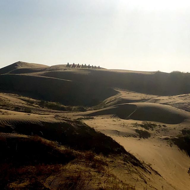 Kubuqi desert 