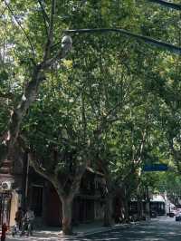 Former French Concession, Shanghai🌿🌱