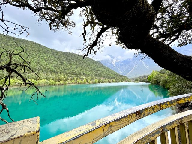 PARADISE ON EARTH BLUE MOON VALLEY LIJIANG 