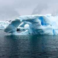 Antarctic Expedition
