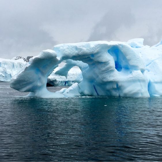 Antarctic Expedition