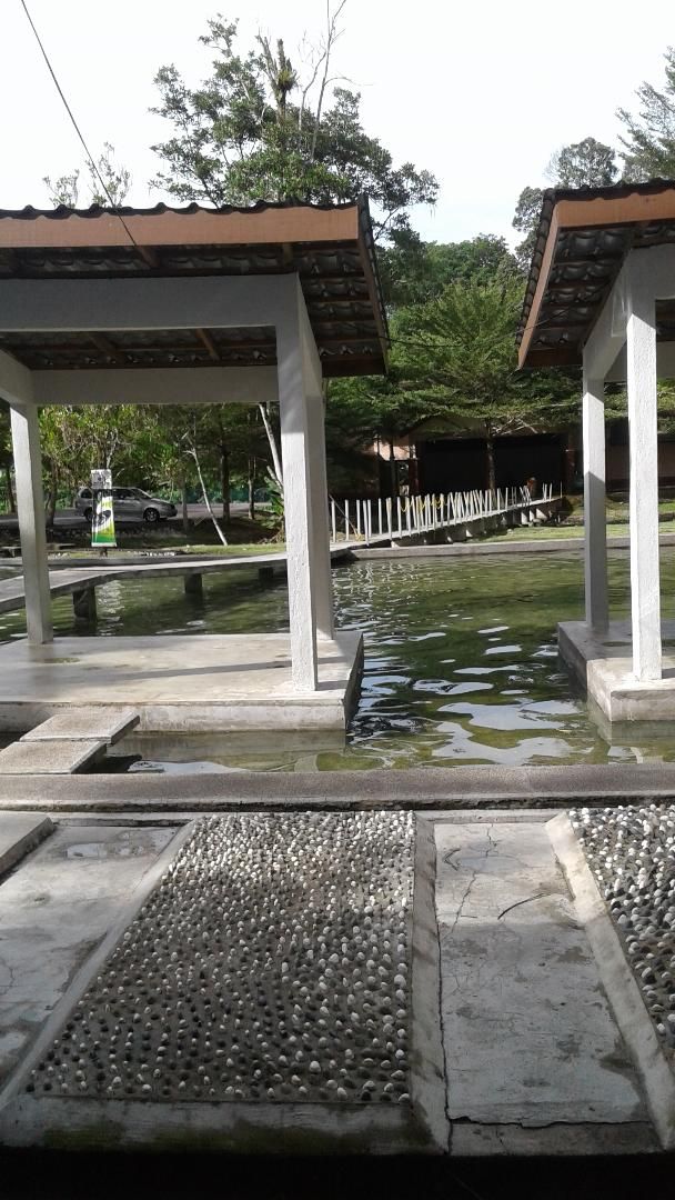 HOT SPRINGS & NASI LEMAK IN BATANG KALI!