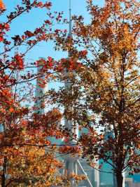 Winter Perspective of the Pearl Tower🧡🍁
