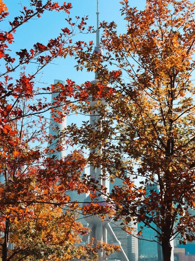 Winter Perspective of the Pearl Tower🧡🍁