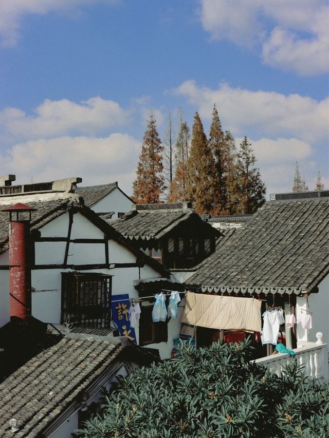 Zhujiajiao Ancient Town, Shanghai🏮