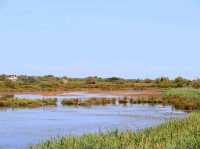 聯合國生物圈保護區法國卡瑪格地區自然公園