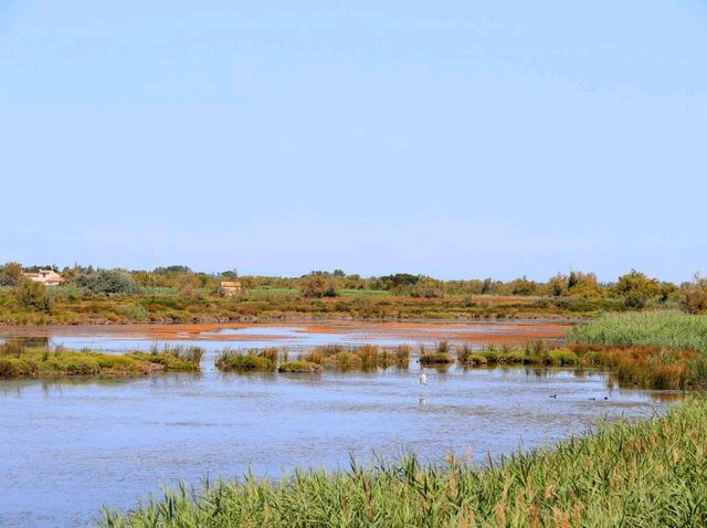 聯合國生物圈保護區法國卡瑪格地區自然公園