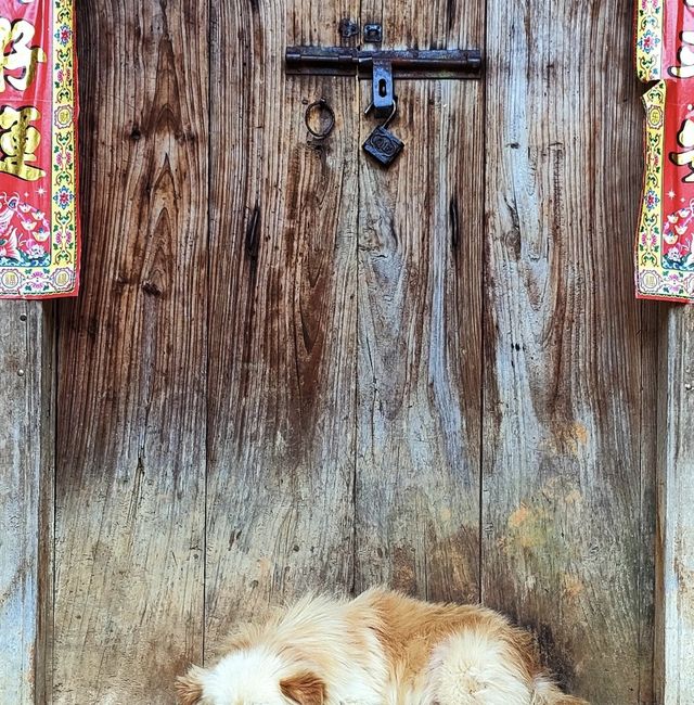 Traditional village - Goulan Yao Village