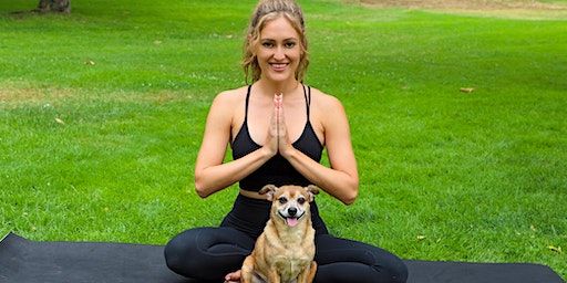 Doga - Mission Bay (San Francisco) | The Field at SPARK Social SF